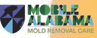Mobile Alabama Mold Removal Care